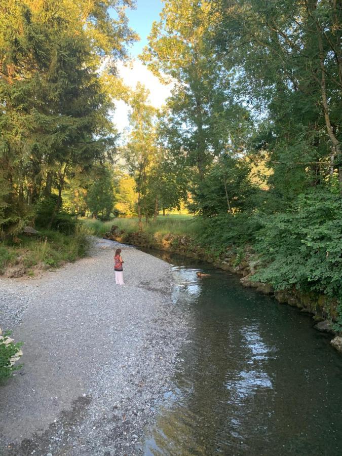Petit Cocon Entre Lac, Golf Et Montagne, Proche D'Annecy Giez Dış mekan fotoğraf